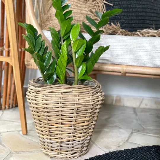 Alex Rattan Planter Natural