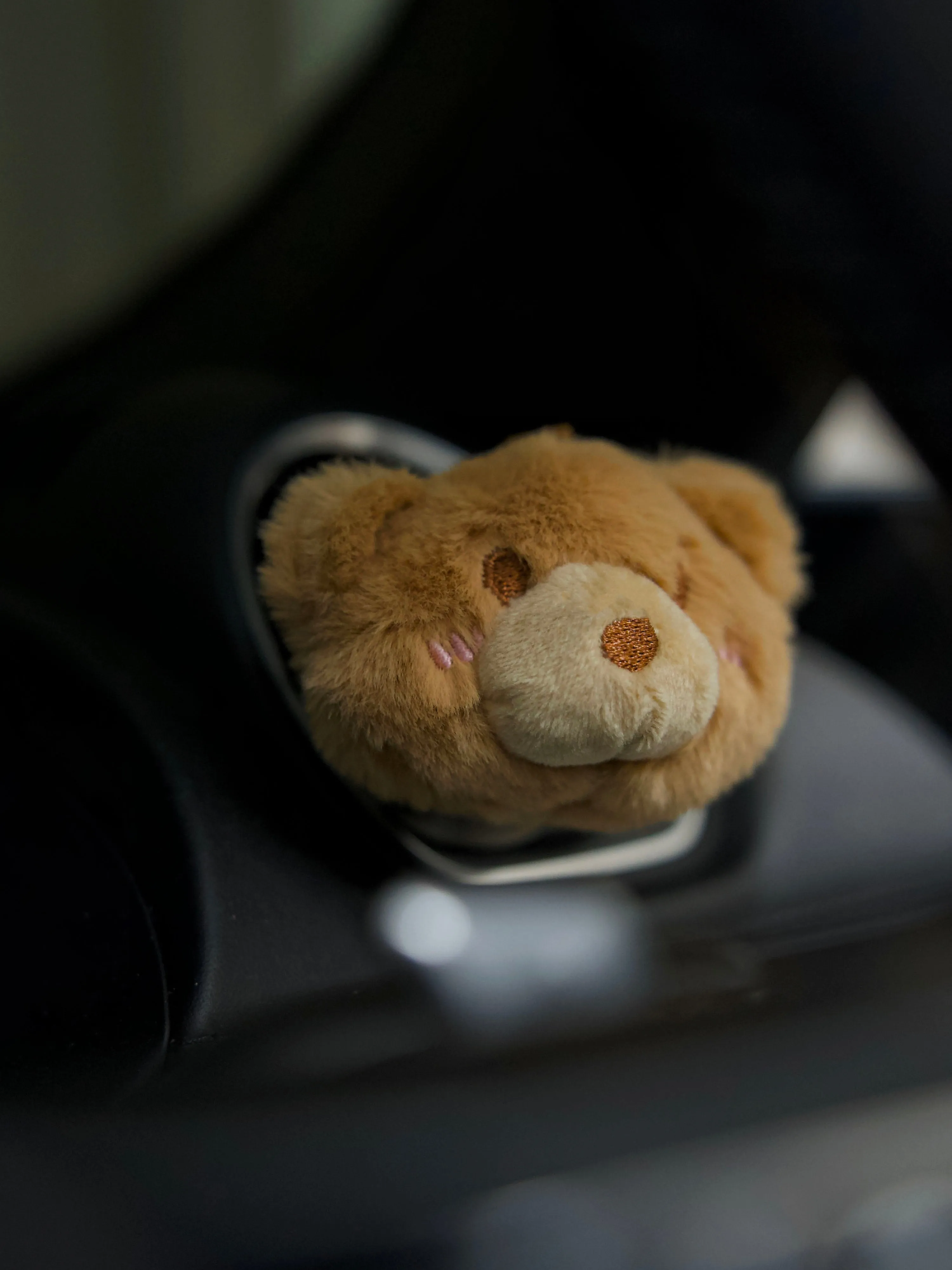 [EM] Bean Beanie Car Diffuser Set Collection