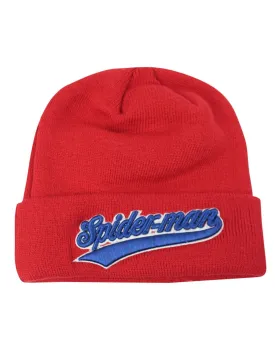 Spider-Man Strike Beanie